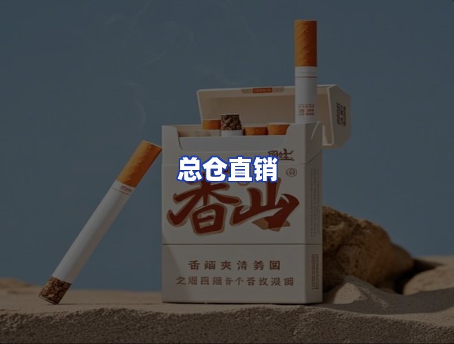 专业团队